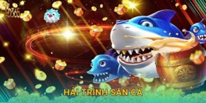 Hải Trình Săn Cá – khám phá vùng biển kho báu tại Gd365