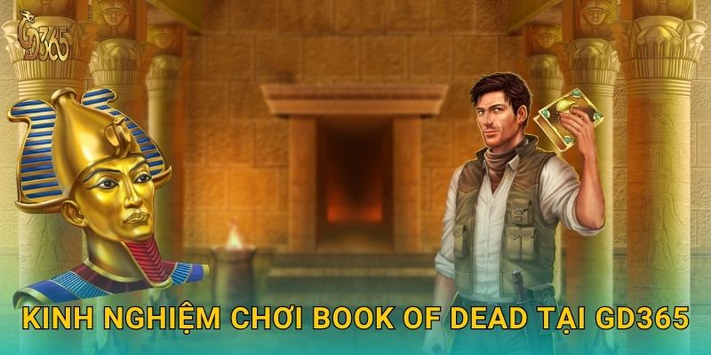 Book of Dead – phiêu lưu Ai Cập cổ đại tại Gd365 3 Kinh nghiệm chơi Book of Dead tại Gd365