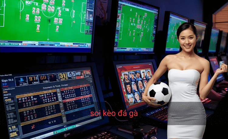 Soi kèo đá gà